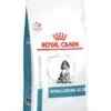 Royal Canin Hypoallergenic Puppy 1,5kg -ROYAL Voer Winkel rcv 2037737 1