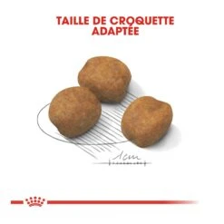 Royal Canin Giant Puppy - Hondenvoer - 15kg -ROYAL Voer Winkel royal canin giant puppy giant puppy 3