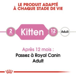 Royal Canin Kitten In Gravy Kat 12x 85g -ROYAL Voer Winkel royal canin kitten sauce pour chaton royal canin 1