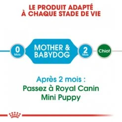 Royal Canin Mini Starter Mother & Babydog 8kg -ROYAL Voer Winkel royal canin mini starter mini starter 4