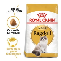 Royal Canin Ragdoll Adult Kat 10kg -ROYAL Voer Winkel royal canin ragdoll adult ragdoll 1 1
