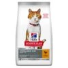 Hill's Science Plan Young Adult Sterilised Cat Kattenvoer Met Kip 15kg -ROYAL Voer Winkel science plan adulte chat sterilis C3 A9 croquettes poulet 1 FR 3